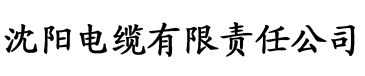 日过年龄最小的是多大电缆厂logo